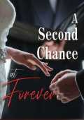 A Second Chance at Forever ( Eleanor Shultz )