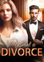 I Want a Divorce by Abigail Quinn Novel